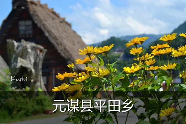 元谋县平田乡