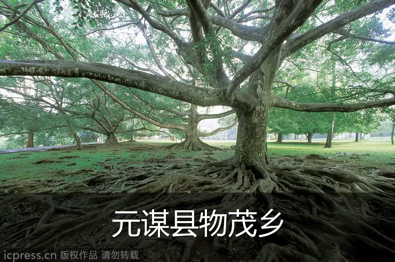 元谋县物茂乡